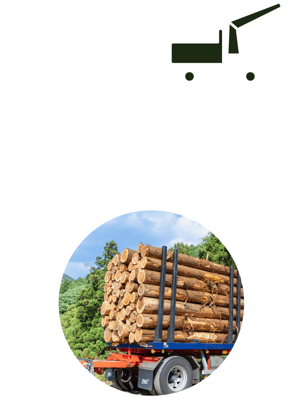 04 運ぶ 大切に育てられた良質な材木を製材所まで運搬（出荷）します。